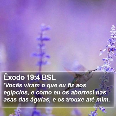 Êxodo 19:4 BSL Bible Verse Image