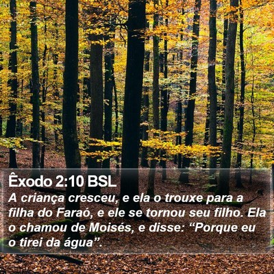 Êxodo 2:10 BSL Bible Verse Image