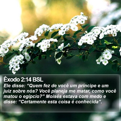 Êxodo 2:14 BSL Bible Verse Image