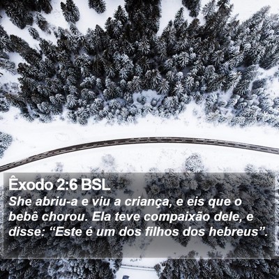 Êxodo 2:6 BSL Bible Verse Image