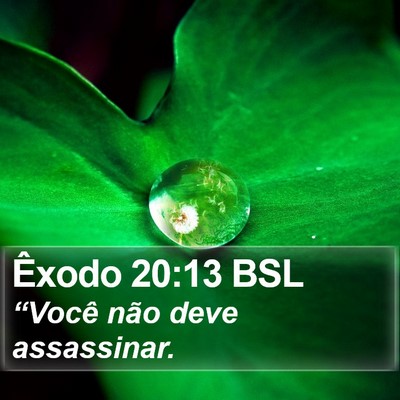 Êxodo 20:13 BSL Bible Verse Image