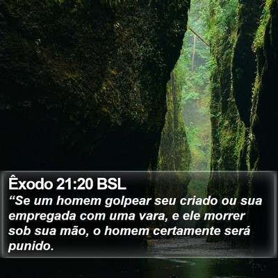 Êxodo 21:20 BSL Bible Verse Image