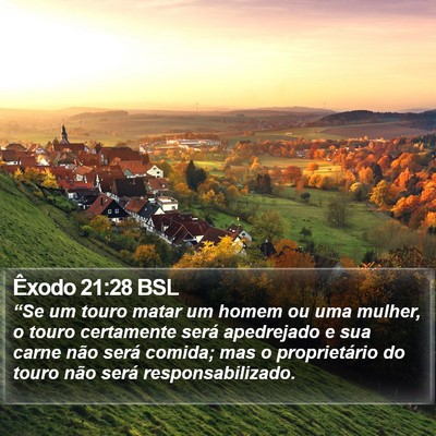 Êxodo 21:28 BSL Bible Verse Image