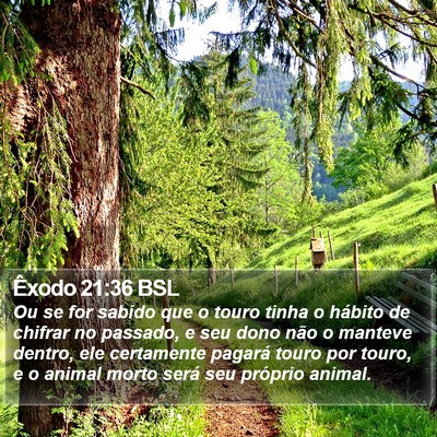 Êxodo 21:36 BSL Bible Verse Image
