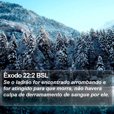 Êxodo 22:2 BSL Bible Verse Image