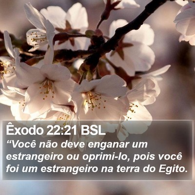 Êxodo 22:21 BSL Bible Verse Image