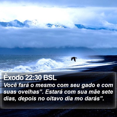 Êxodo 22:30 BSL Bible Verse Image