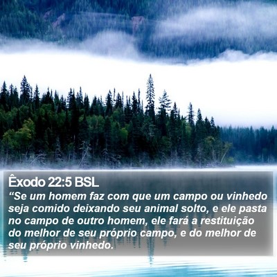 Êxodo 22:5 BSL Bible Verse Image