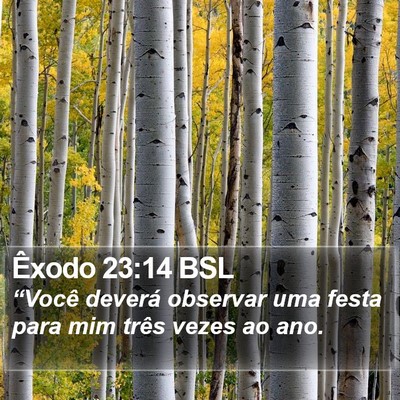 Êxodo 23:14 BSL Bible Verse Image