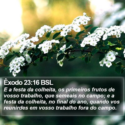 Êxodo 23:16 BSL Bible Verse Image