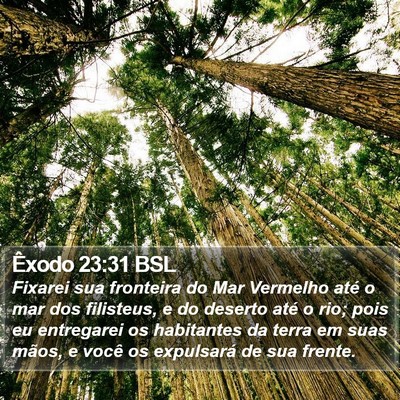 Êxodo 23:31 BSL Bible Verse Image