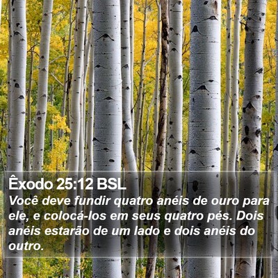 Êxodo 25:12 BSL Bible Verse Image