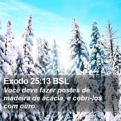 Êxodo 25:13 BSL Bible Verse Image