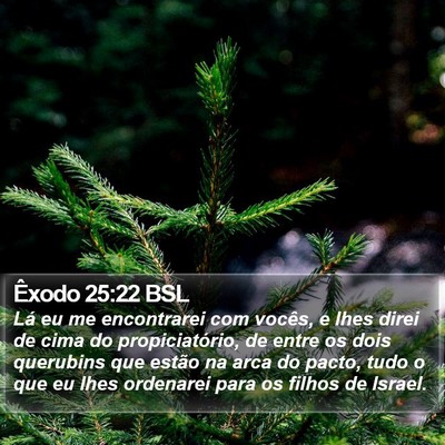Êxodo 25:22 BSL Bible Verse Image
