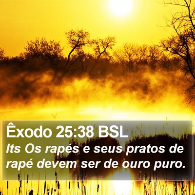 Êxodo 25:38 BSL Bible Verse Image