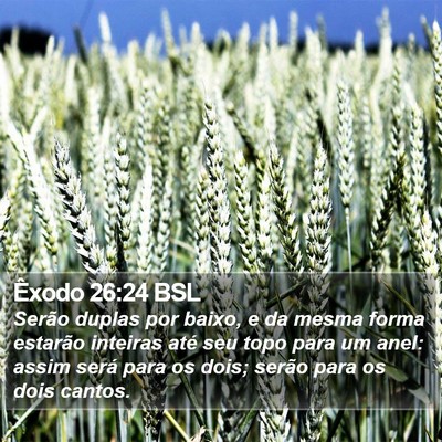 Êxodo 26:24 BSL Bible Verse Image