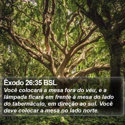 Êxodo 26:35 BSL Bible Verse Image