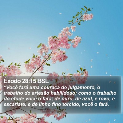 Êxodo 28:15 BSL Bible Verse Image