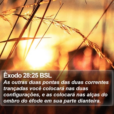 Êxodo 28:25 BSL Bible Verse Image