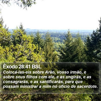 Êxodo 28:41 BSL Bible Verse Image