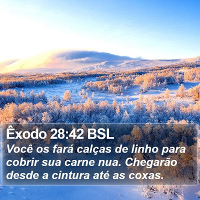 Êxodo 28:42 BSL Bible Verse Image