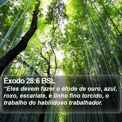 Êxodo 28:6 BSL Bible Verse Image
