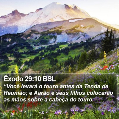Êxodo 29:10 BSL Bible Verse Image