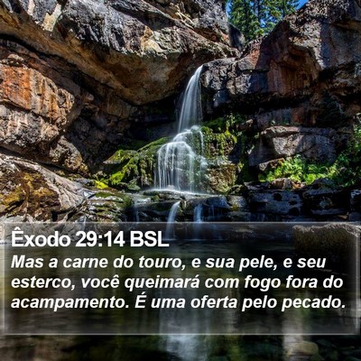 Êxodo 29:14 BSL Bible Verse Image