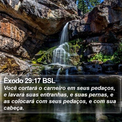 Êxodo 29:17 BSL Bible Verse Image