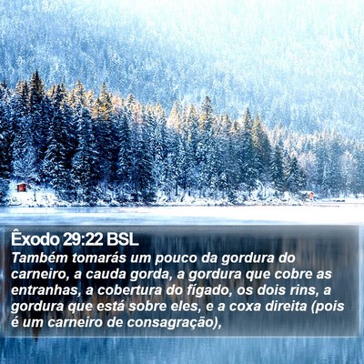 Êxodo 29:22 BSL Bible Verse Image