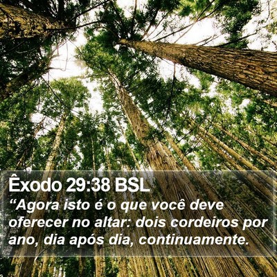 Êxodo 29:38 BSL Bible Verse Image
