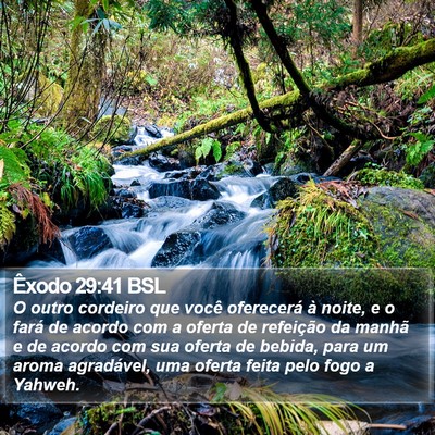 Êxodo 29:41 BSL Bible Verse Image