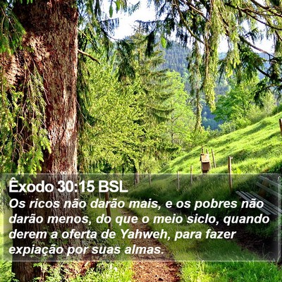 Êxodo 30:15 BSL Bible Verse Image