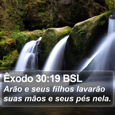 Êxodo 30:19 BSL Bible Verse Image