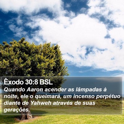 Êxodo 30:8 BSL Bible Verse Image