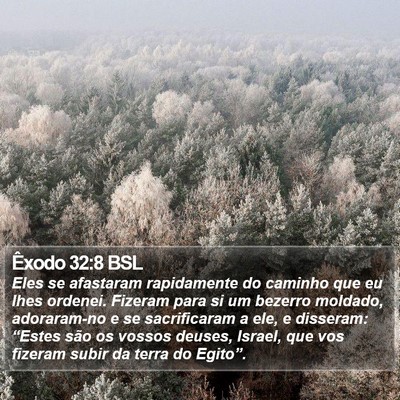 Êxodo 32:8 BSL Bible Verse Image