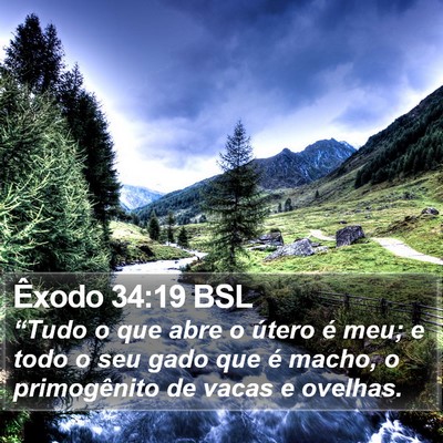 Êxodo 34:19 BSL Bible Verse Image