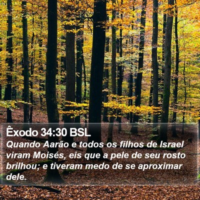 Êxodo 34:30 BSL Bible Verse Image