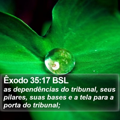 Êxodo 35:17 BSL Bible Verse Image