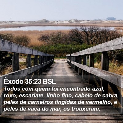 Êxodo 35:23 BSL Bible Verse Image
