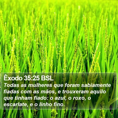 Êxodo 35:25 BSL Bible Verse Image