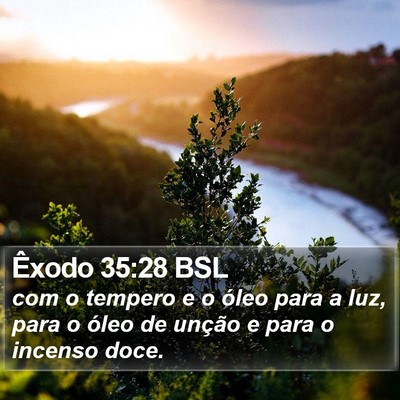 Êxodo 35:28 BSL Bible Verse Image