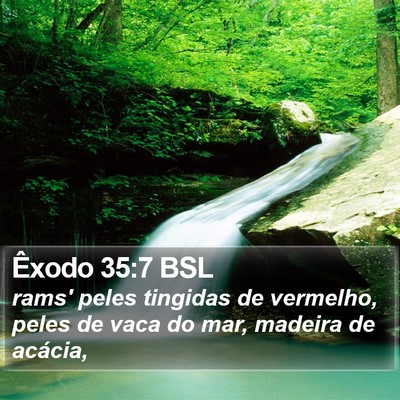 Êxodo 35:7 BSL Bible Verse Image