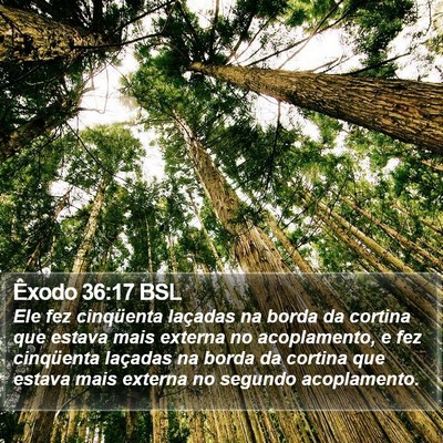 Êxodo 36:17 BSL Bible Verse Image