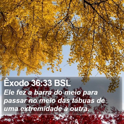 Êxodo 36:33 BSL Bible Verse Image