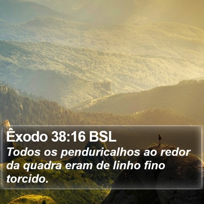 Êxodo 38:16 BSL Bible Verse Image
