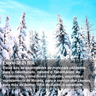 Êxodo 38:21 BSL Bible Verse Image