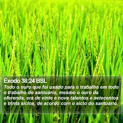 Êxodo 38:24 BSL Bible Verse Image