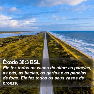 Êxodo 38:3 BSL Bible Verse Image