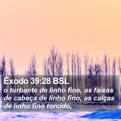 Êxodo 39:28 BSL Bible Verse Image